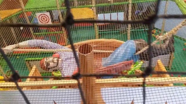 Джунгли лабиринт в ТРЦ Июнь смотреть онлайн