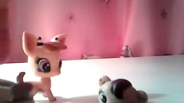 Мультик littelest pet shop