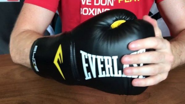 EVERLAST PRO STYLE ELITE TRAINING GLOVE REVIEW