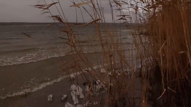 ЗИМА. ХОЛОД. ПЛЯЖ. ЛЁД И, КОНЕЧНО, Я !!! :))) смотреть онлайн