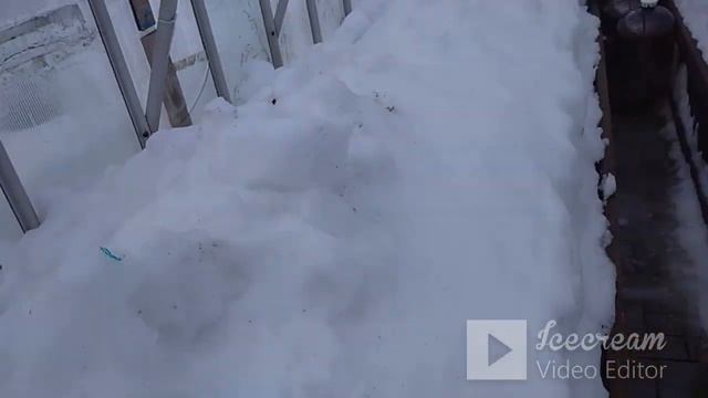 Часть 2. 22 03 23. Удобрения по снегу что можно что нельзя. смотреть онлайн
