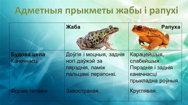 ЗЕМНАВОДНЫЯ, 2 клас (падручнік Г.У. Трафімава, С.А. Трафімаў) смотреть онлайн