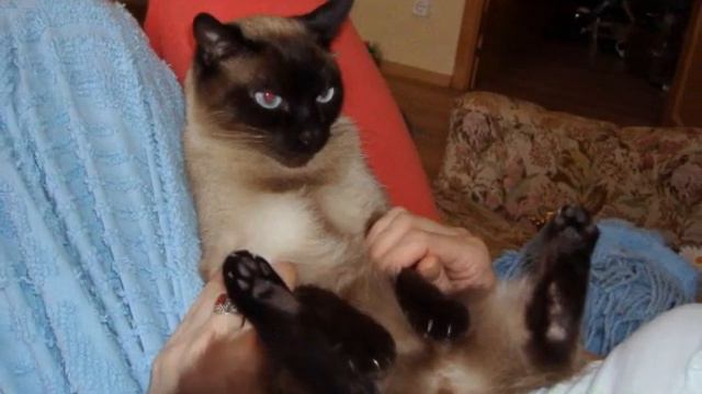 мой маленький цветочек смотреть онлайн