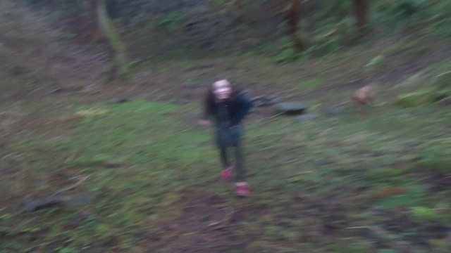 The Balmashanner Witches