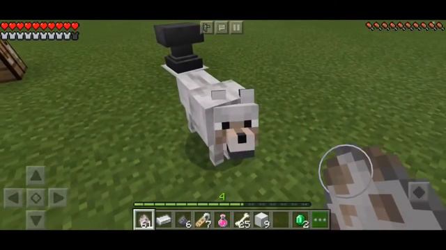 How to name your pet or any mobs in Minecraft Pocket edition | Android | Hindi | bedrock edition смотреть онлайн