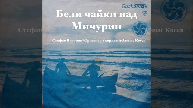 Василико смотреть онлайн