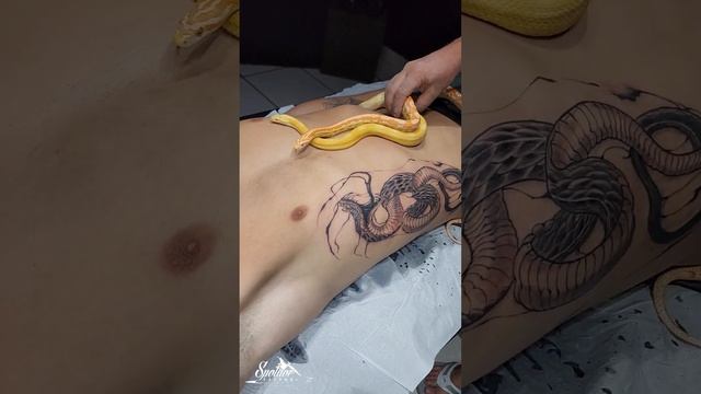 tattoo+??? #cobras #tattoo #snake #cornsnacks #tatuagem #tattooartist #stylo #2023 #8bit #1k #2020 смотреть онлайн