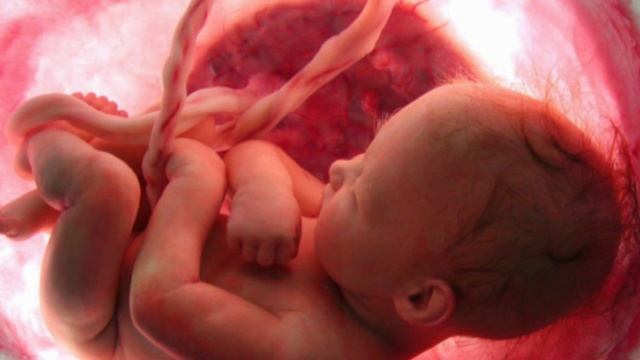 Звуки в утробе матери для сна малыша. Sounds In The Womb To Calm And Sleep The Baby