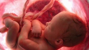 Звуки в утробе матери для сна малыша. Sounds in the womb To calm and sleep the baby