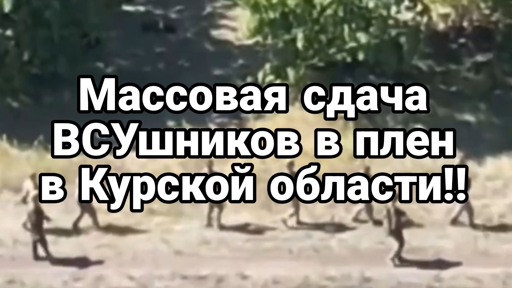 17-08-2024 МАССОВАЯ СДАЧА В ПЛЕН ВСУшников в Курской области Грязные бомбы Зеленского