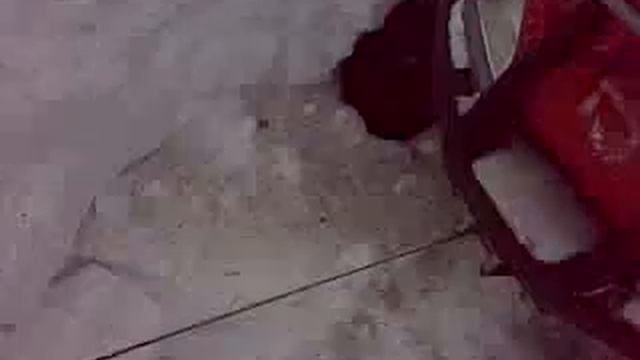 ALMOST there... :P смотреть онлайн