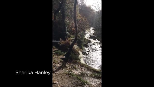 Sherika Hanley, Durban, South Africa & Max Corcos ( trombone) , Hebden Bridge смотреть онлайн