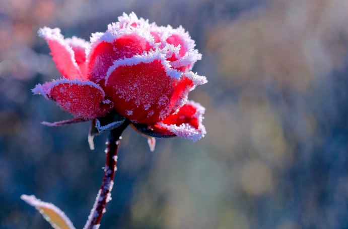 Холодно без Души... Стихи. Автор текста Ирина Самарина-Лабиринт. смотреть онлайн