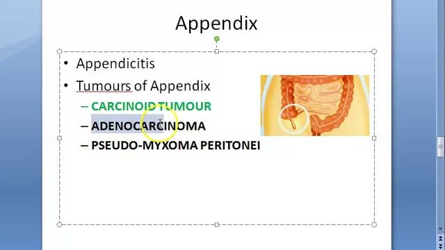 Pathology 521 a GastroIntestinal Introduction GIT Conditions list pathological stomach intestine смотреть онлайн