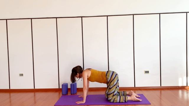 Йога 13 апреля 2022 смотреть онлайн