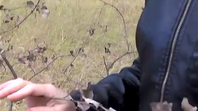 Журавлиная песня ( Из к/ф Доживём до понедельника ). Поёт Ольга Ерёмина. Грибановка. 2016 смотреть онлайн