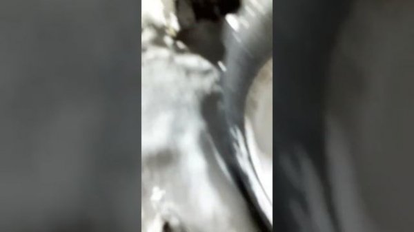 заводим в мороз terex