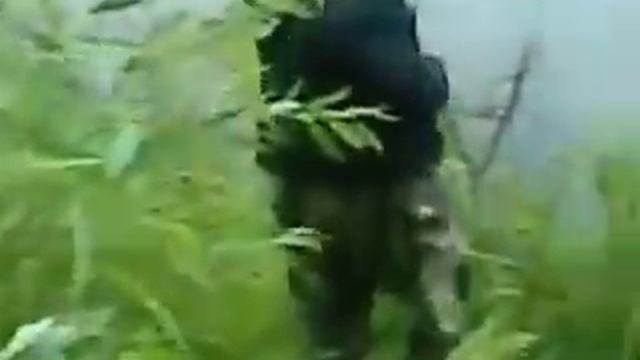 Рыбалка на усолке , г Павлодар смотреть онлайн