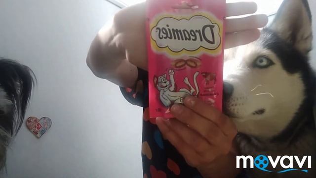 Распаковка посылок/ Открываем посылки с тремя собаками/ Шоколад для собак/ Подарки для сестры смотреть онлайн