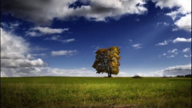 Антонио Вивальди-Спящий пастух. Шепот волн. Лай собаки (Largo) Antonio Vivaldi смотреть онлайн