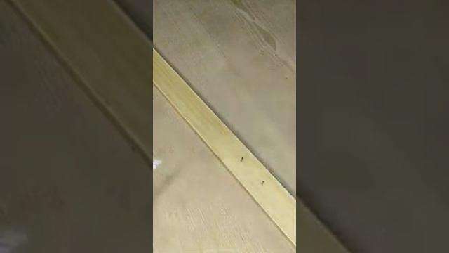 Лайфхак, как забивать маленькие гвозди, чтобы не ударить молотком по пальцам #Shorts смотреть онлайн