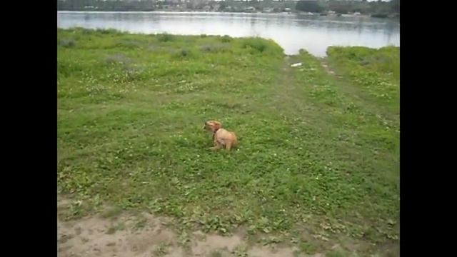 ЛЕТО 2017 | ПРОГУЛКА В 6 УТРА |ВОСПОМИНАНИЯ смотреть онлайн