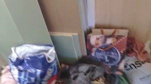 Отделка стены за печкой в парной и дальнейшие работы