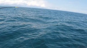 Рыбалка в Приморье. Ловим камбалу под Владивостоком. Ловим рыбу на рыбу. Японское море.