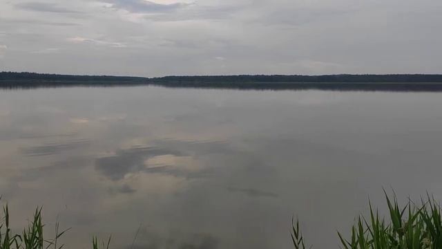 Платник на р. Малая Истра, Раково смотреть онлайн