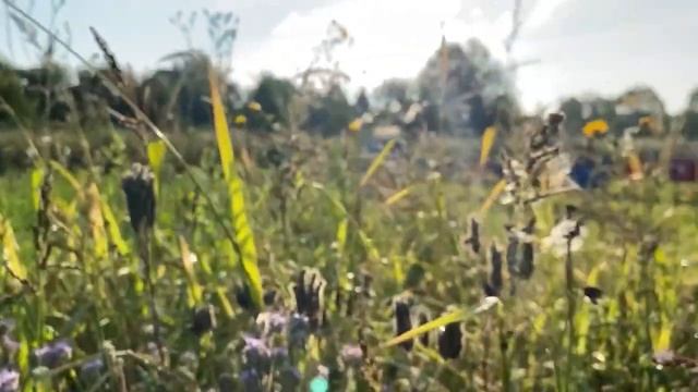 Медитация - Расслабление и Подготовка ко сну смотреть онлайн