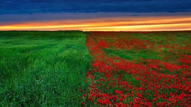 Родимый край. Стихи@NaTaLi смотреть онлайн