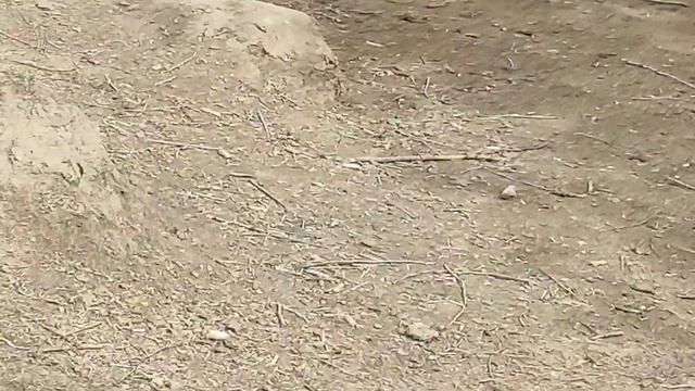 Вобла в Астрахани. Сазаны 2021 Апрель, часть 3.