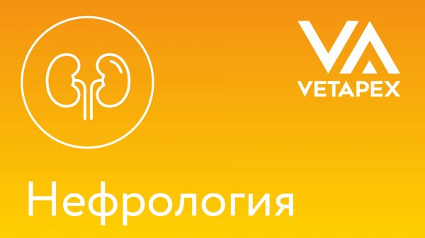 Nota Bene - «Надежда Крутицкая: мысли вслух»