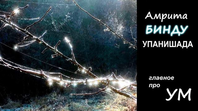 Главное про УМ. Амритабинду упанишада смотреть онлайн