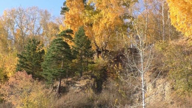 Сибирские просторы. Осень, осень...... смотреть онлайн