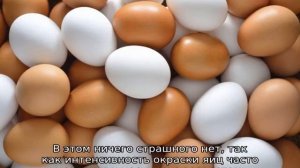 Легбар (порода кур): описание