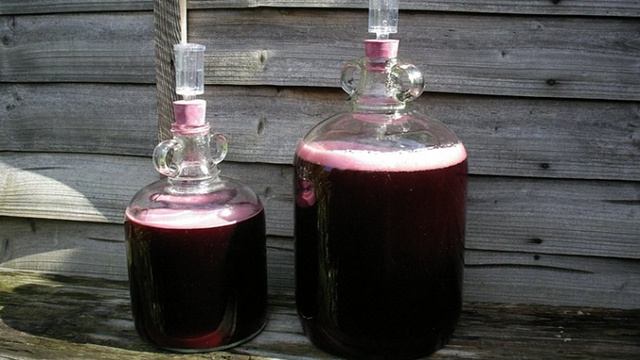 Сборник рецептов