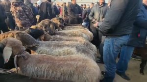 МОЛБОЗОРИ ДЕХАИ СУРХ Ш.ИСФАРА#сурх #исфара #худжанд