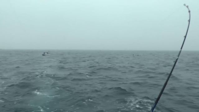 Владивосток. Море воды. Троллинг май 2014. смотреть онлайн