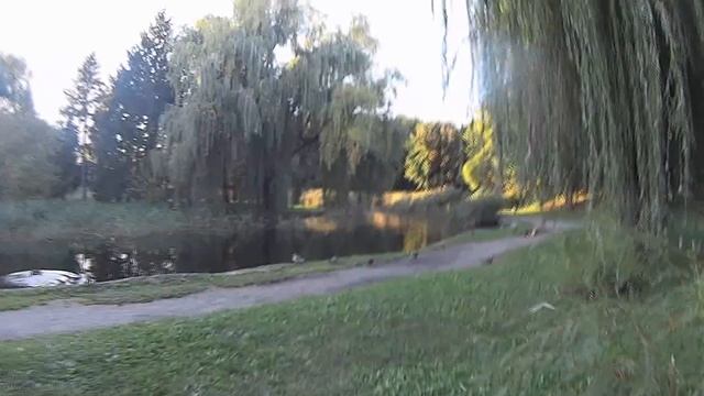 СВЕКРОВЬ ПРИЕЗЖАЕТ // ВЛОГ смотреть онлайн