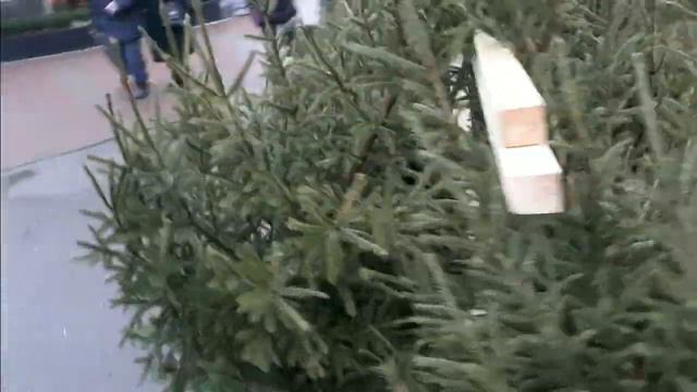 Санкт- Петербург День декабря смотреть онлайн