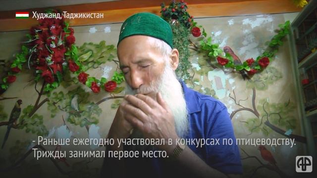 Известный балетмейстер Таджикистана находит утешение в птицах смотреть онлайн
