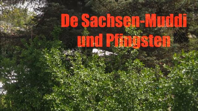 Sachsen-Muddi Pfingsten смотреть онлайн