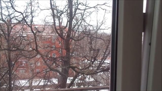505 - Немного УТРО/ Остальное РАЗГОВОР... смотреть онлайн