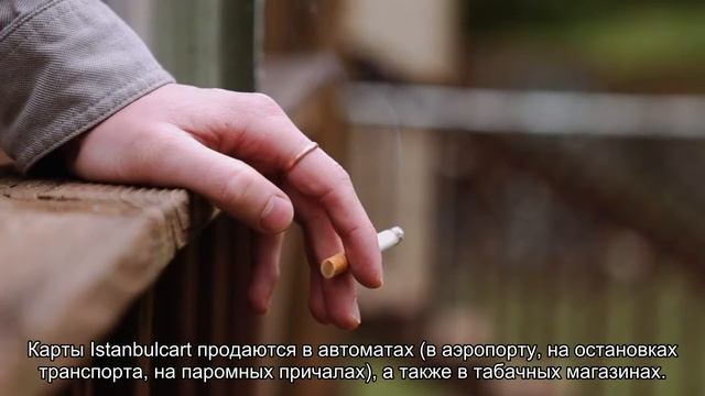 Как покупать билеты на автобусы и паромы в Стамбуле смотреть онлайн