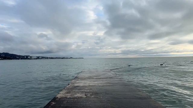 Тихие будни у моря, AZIMUT Здоровье Мыс Видный смотреть онлайн