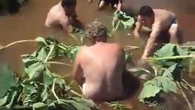 Внимание! Не смотреть у кого слабое сердце! Пострадал ребёнок и взрослые. смотреть онлайн
