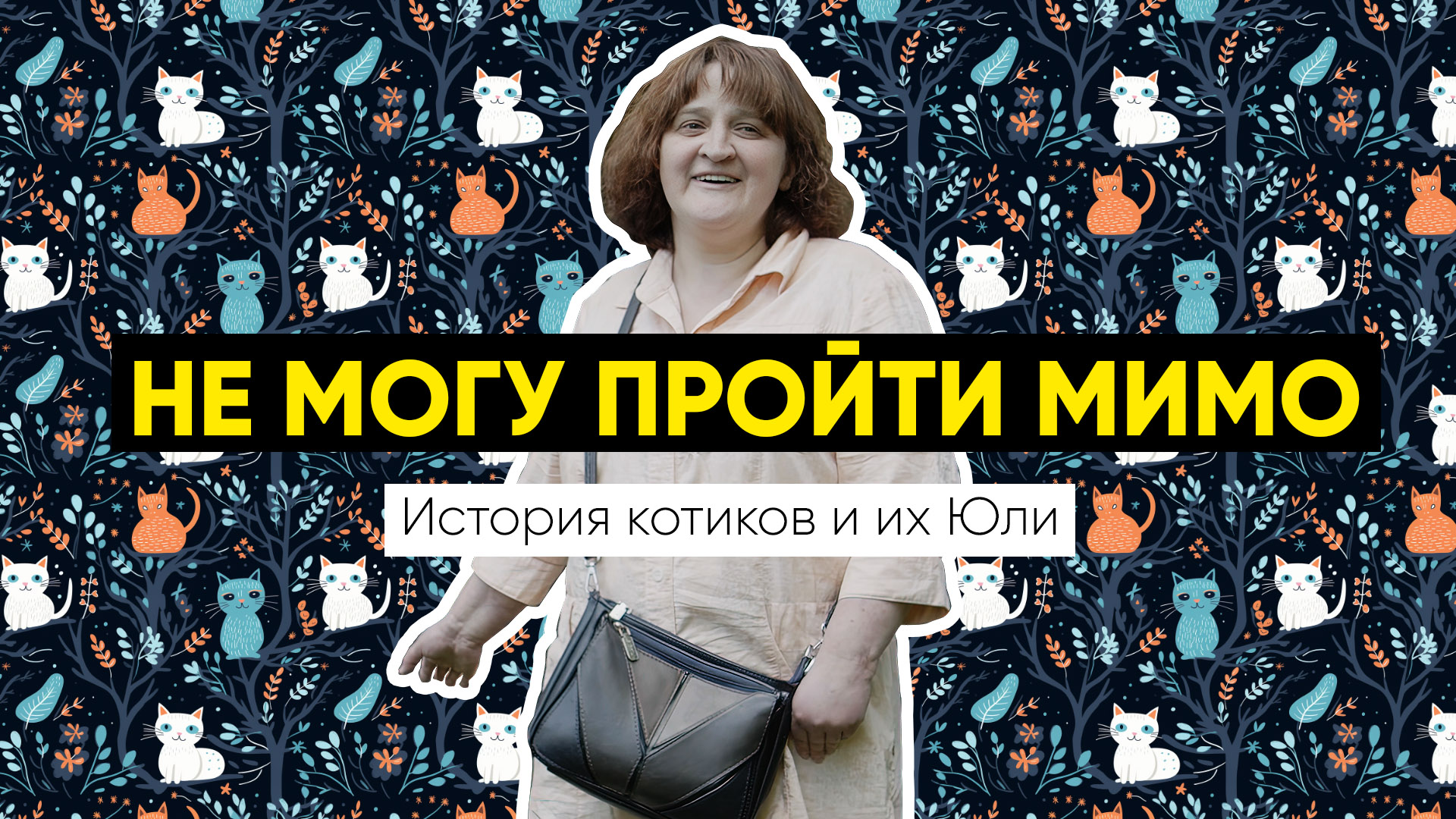 «Не могу пройти мимо!» | История котиков и их Юли смотреть онлайн