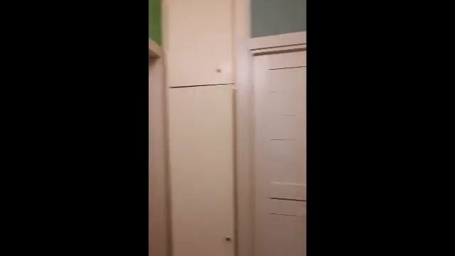 Входная дверь Трио с зеркалом и межкомнатные двери в наличии в Самаре/Компания "Фабрика дверей". смотреть онлайн