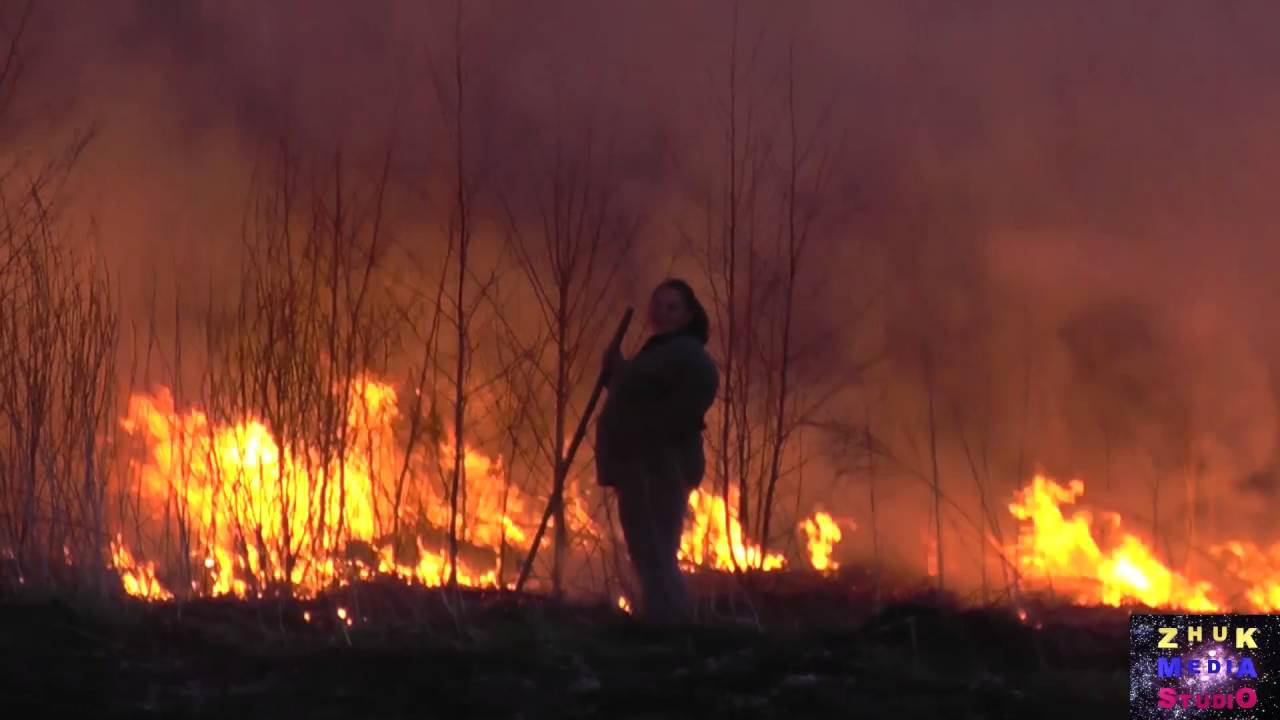 Поле огня смотреть онлайн